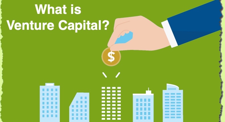 What is Venture Capital?