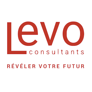 Levo Consultants, un partenaire DealFabric